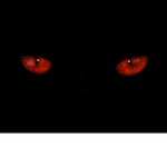 THE_WATCHERS