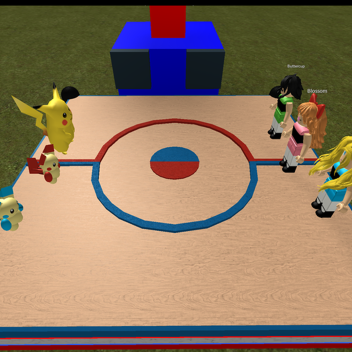 Champion fight! [EXTRA STUFF]