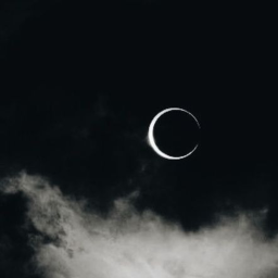 ⋆.˚ ☾⭒.˚