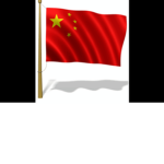 The Raman chinese group