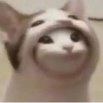 Hehe Meow