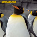 Penguin Group Center