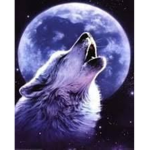 WolfKawaii Grupo Official