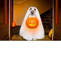 line runner halloween edition