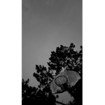 _C H X R R Y_