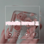 Fuchsia Hotels