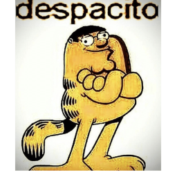 this iz the despa-hangout