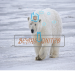 *BEARS UNITED*