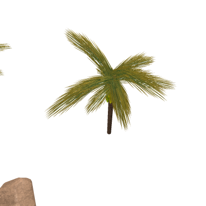 PALM TREES