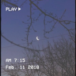 :(