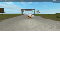 Group Race