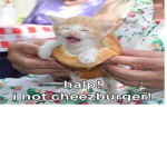 DEADMEEMS