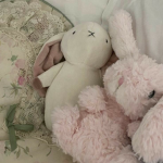 Shells Content Creators