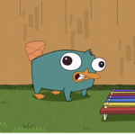 TeamPlatypus