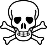 the skull and bones squad!