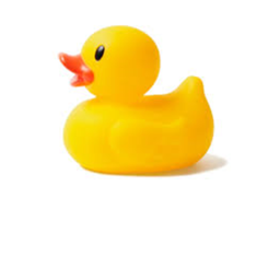 Official #QUACKY YEAR game