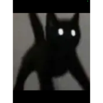 cookie cat <3