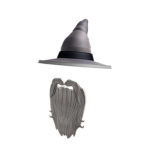 The Wisest Wizard