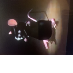 random rat group