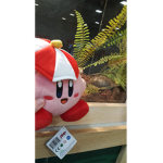 Zoo kirby