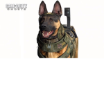 Call of Duty: Fan Group
