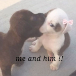 PARA LOS QUE QUIERAN ROBUX UWU