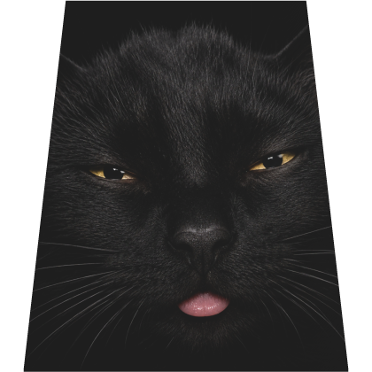 Void Black Cat Cape Roblox item