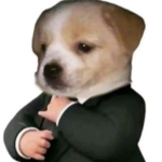 Spruca