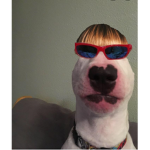 King of trollers