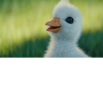 Cherry Ducklings