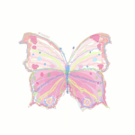 bUtterfly hero