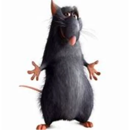 Rat obby icon