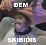 Them Skibidis