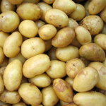 POTATO POTATO POTATO POTATO POTATO POTATO POTATO A