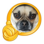 Bread pug gamers