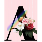 Team A Shirt's