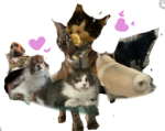 Pet Stories - Smeesh