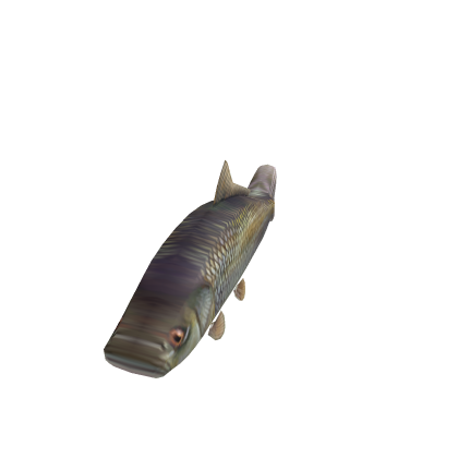 Fish