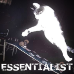 Essentialist