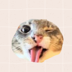 This Is The Cat Pack