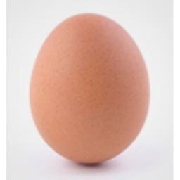 Stare at the world wide FAMOUS egg