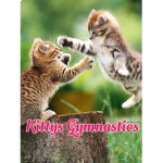 Kittys Gymnastics