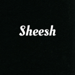 *~Sheesh~*