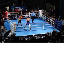 tommy,s boxing ring