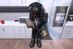 YSN(300)