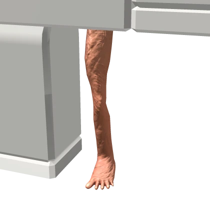 Wrinkle Roblox
