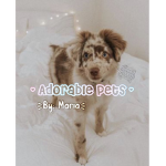 - Adorable pets-
