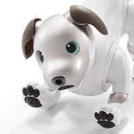 dogbot control
