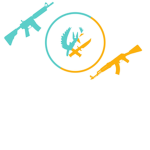 Buying CSGO skins