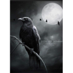 Black_Crow's Group
